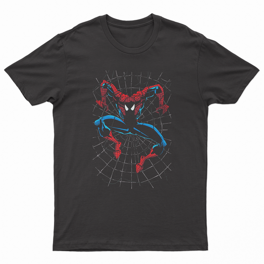 Spider man I Spider web